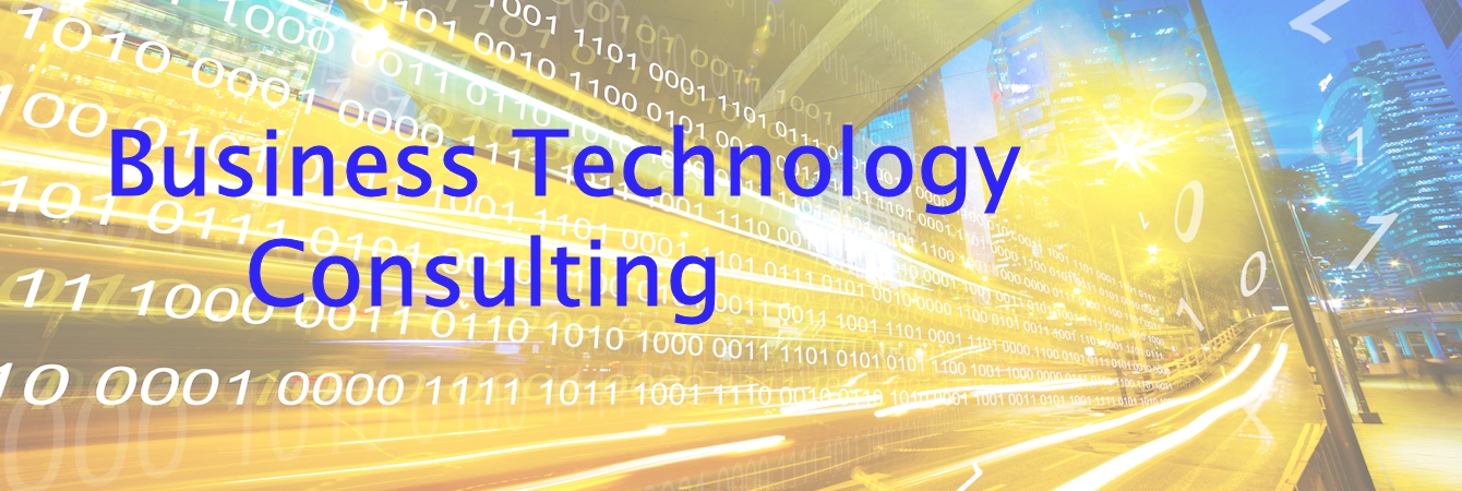 Business Technology Consulting